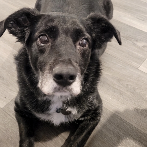 Meet AL & Leo - Picture 2 of 4